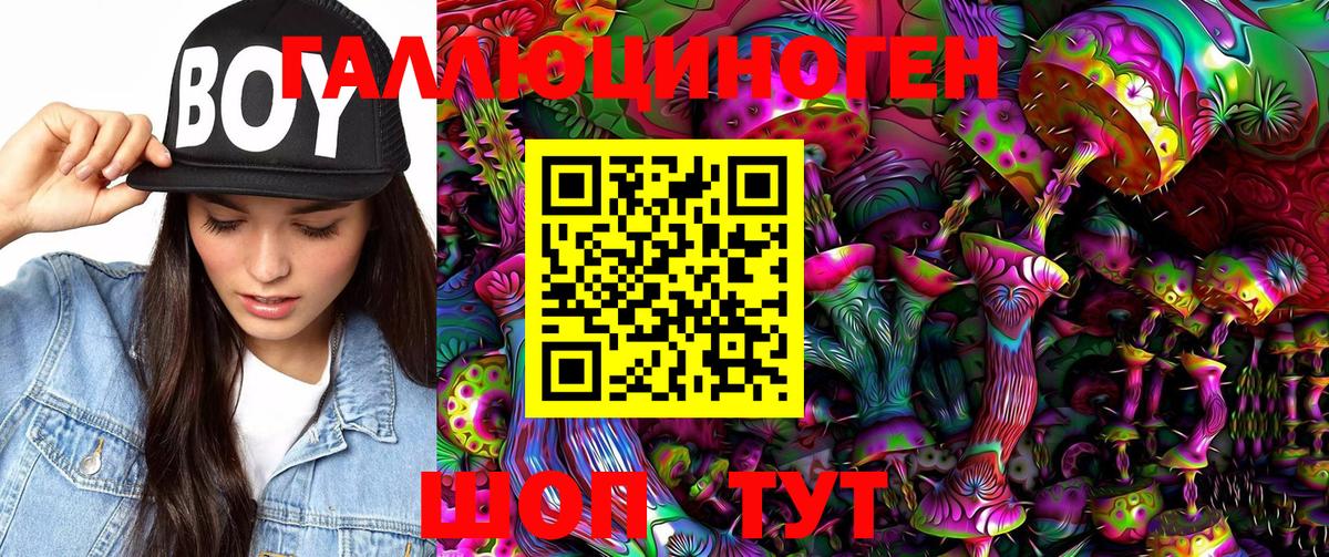 Псилоцибиновые грибы Psilocybe Печора