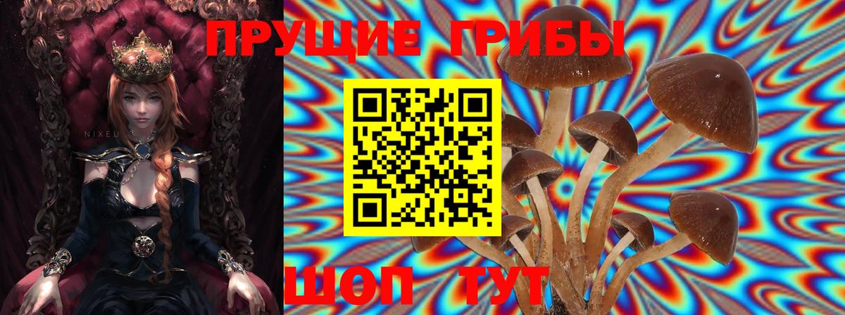 Печора  купить наркотики сайты  Вход с VPN  Псилоцибиновые грибы Magic Shrooms 